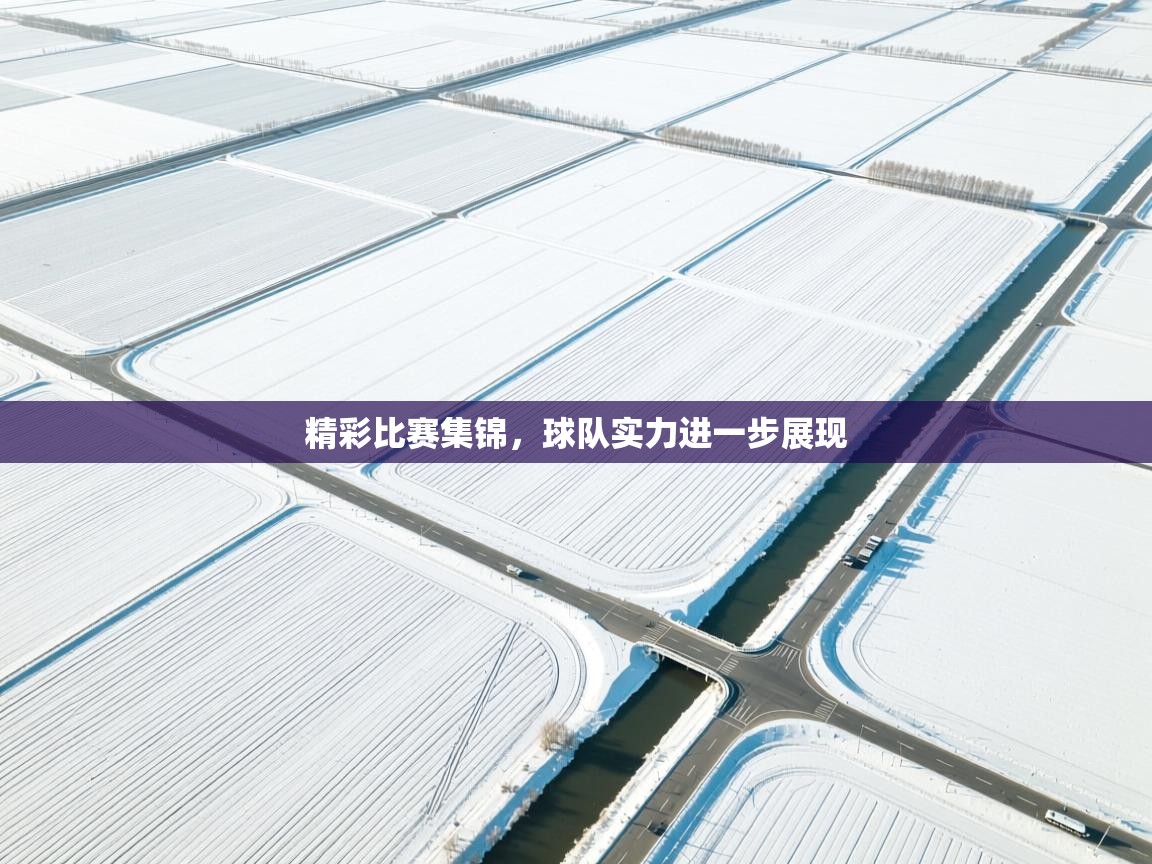 精彩比赛集锦，球队实力进一步展现
