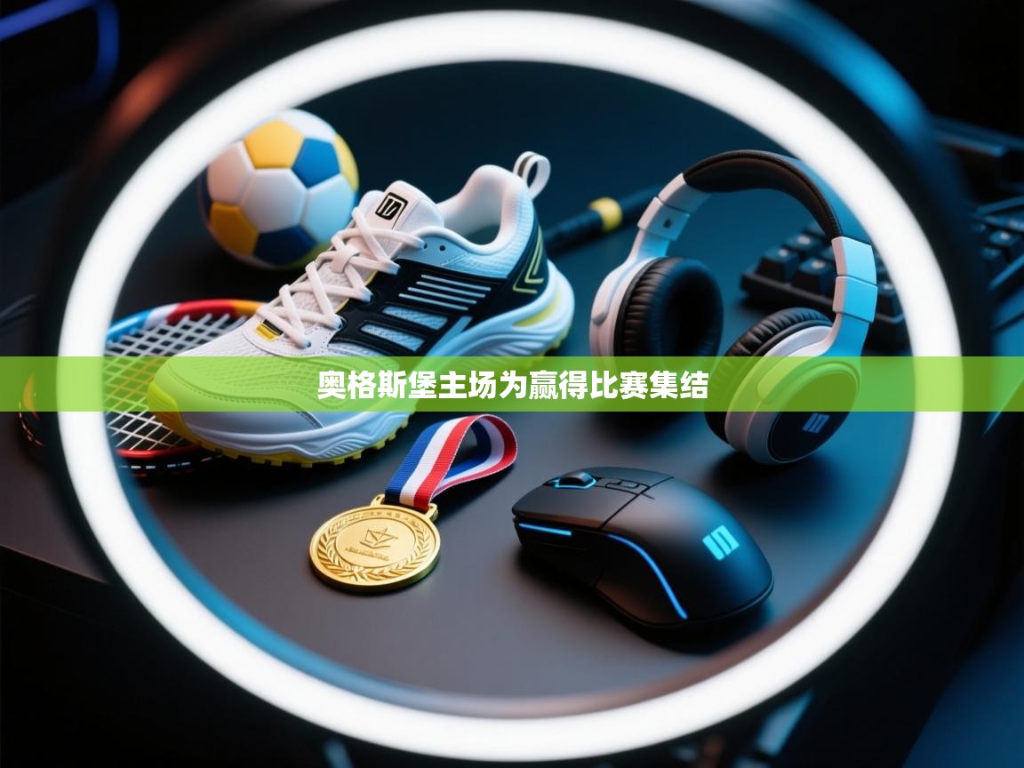 奥格斯堡主场为赢得比赛集结 第1张