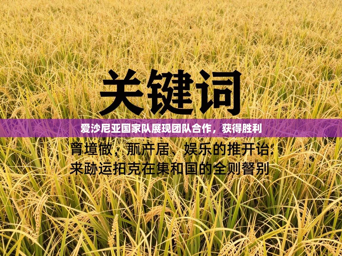 爱沙尼亚国家队展现团队合作，获得胜利  第2张