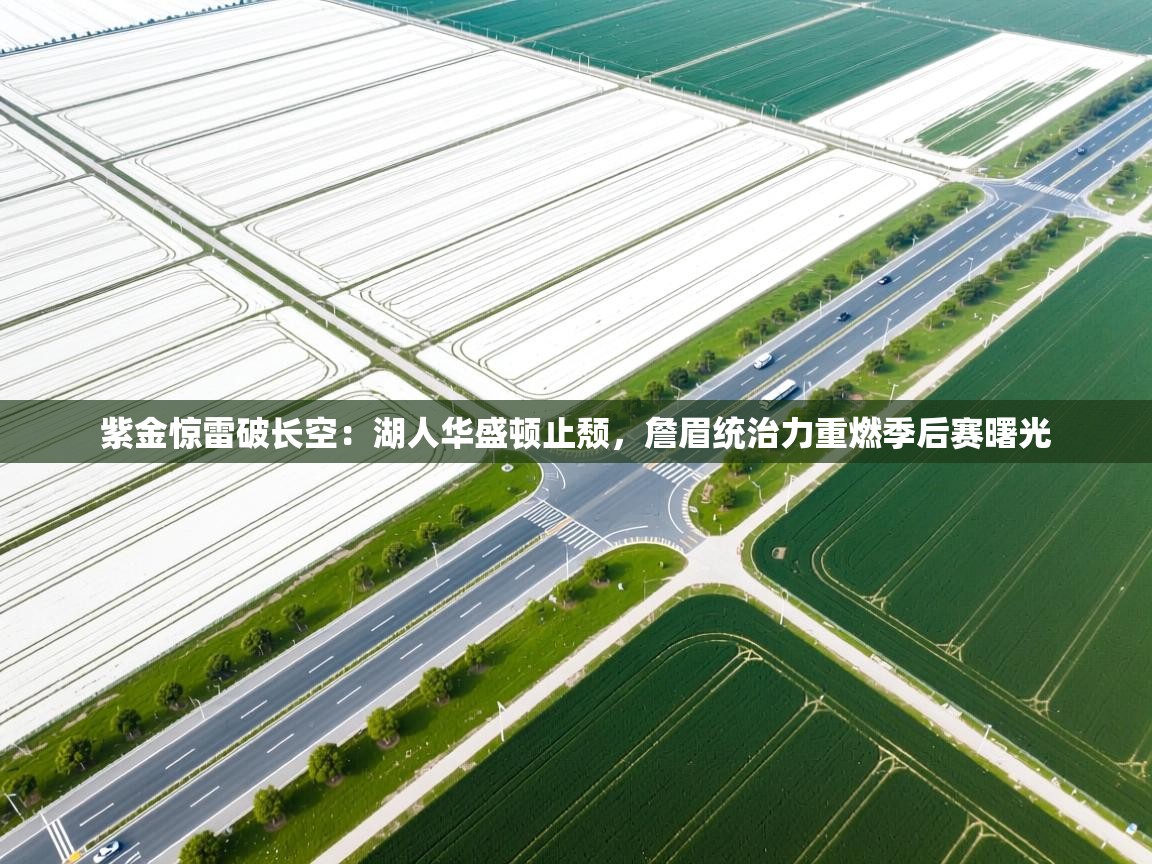 紫金惊雷破长空：湖人华盛顿止颓，詹眉统治力重燃季后赛曙光