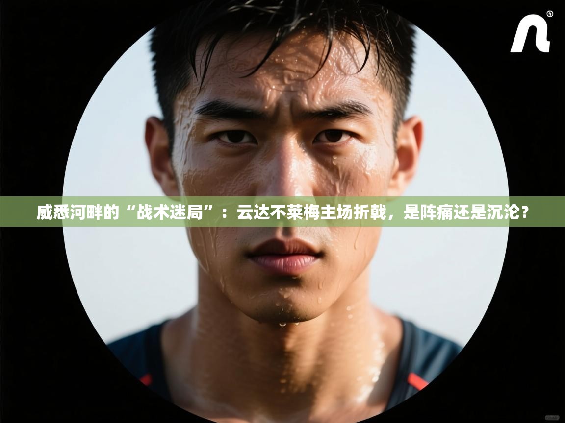威悉河畔的“战术迷局”:云达不莱梅主场折戟,是阵痛还是沉沦? 第2张