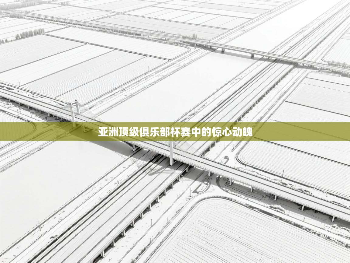 亚洲顶级俱乐部杯赛中的惊心动魄  第2张