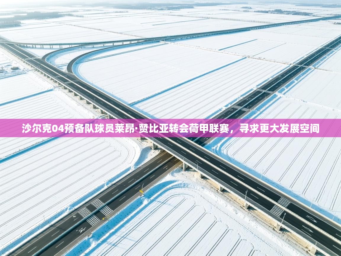 沙尔克04预备队球员莱昂·赞比亚转会荷甲联赛，寻求更大发展空间