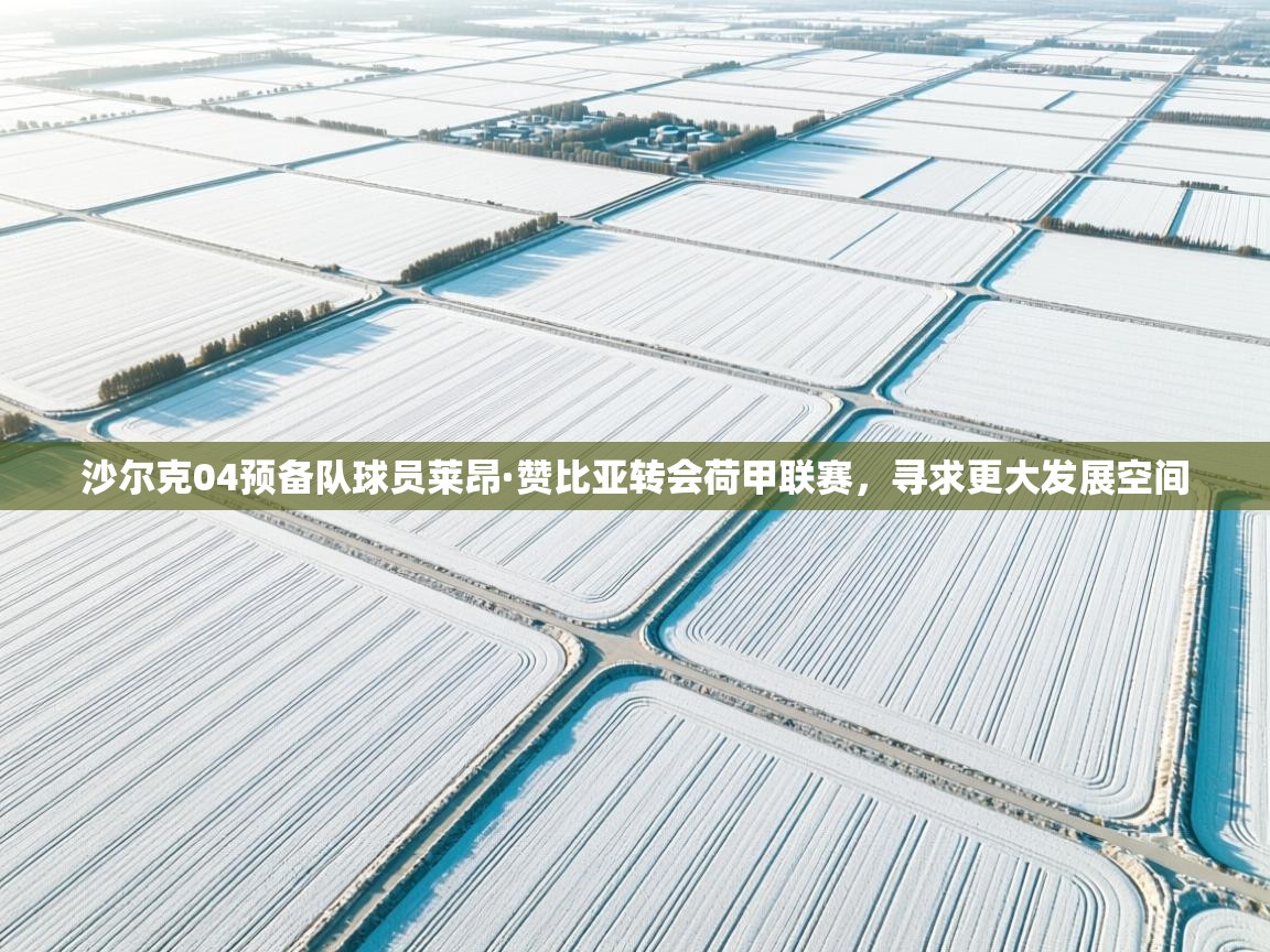 沙尔克04预备队球员莱昂·赞比亚转会荷甲联赛，寻求更大发展空间  第2张