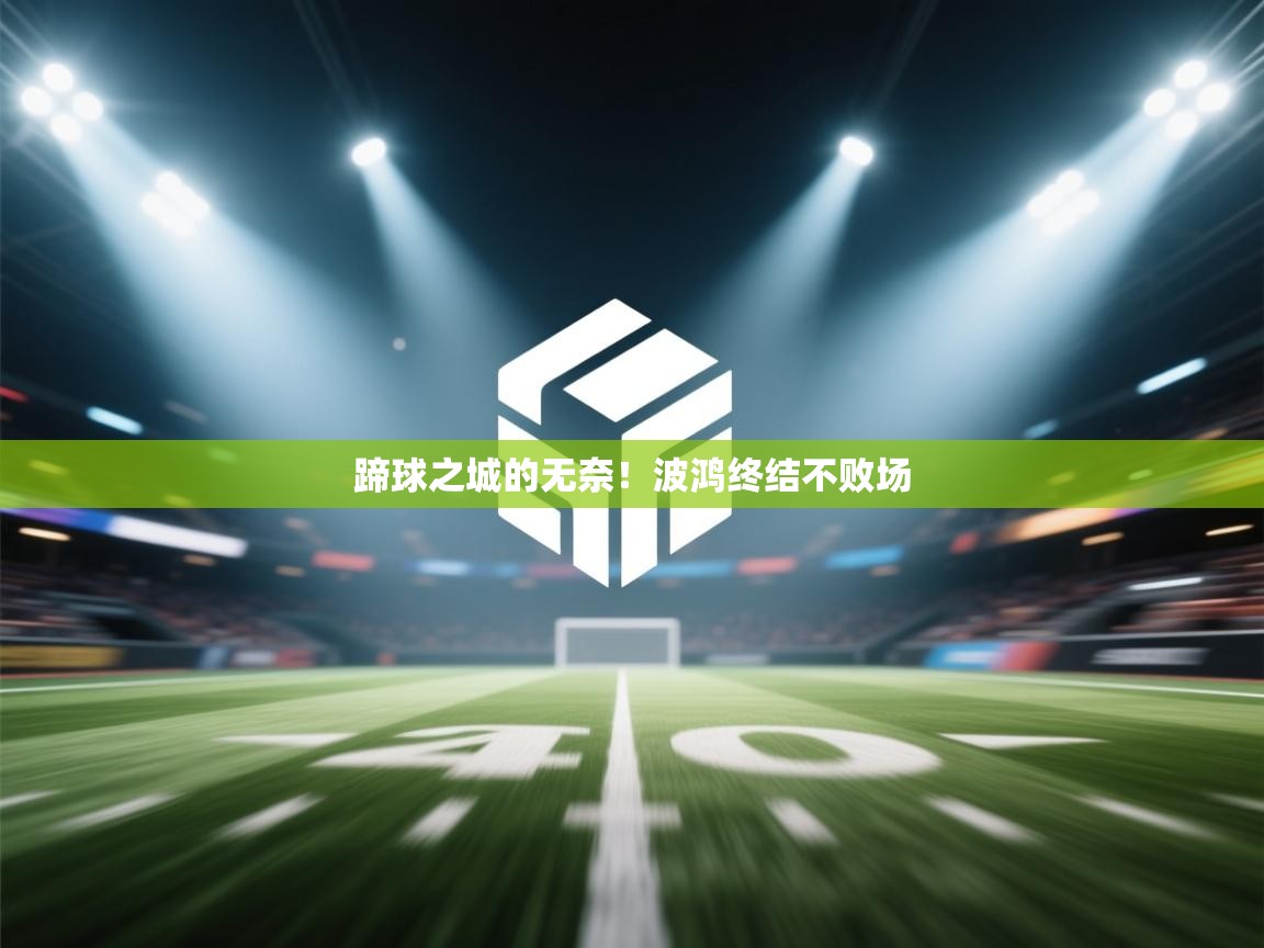 蹄球之城的无奈！波鸿终结不败场  第2张