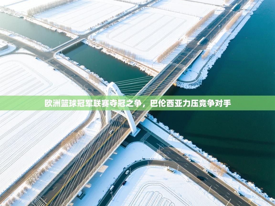 欧洲篮球冠军联赛夺冠之争，巴伦西亚力压竞争对手  第1张